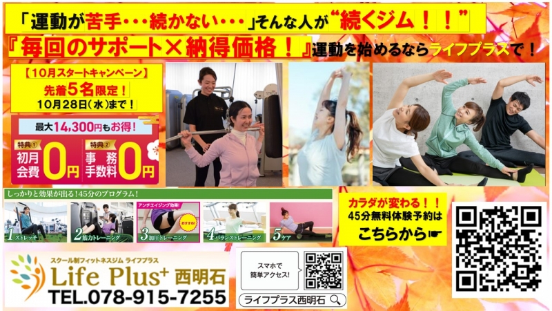 チラシデータ